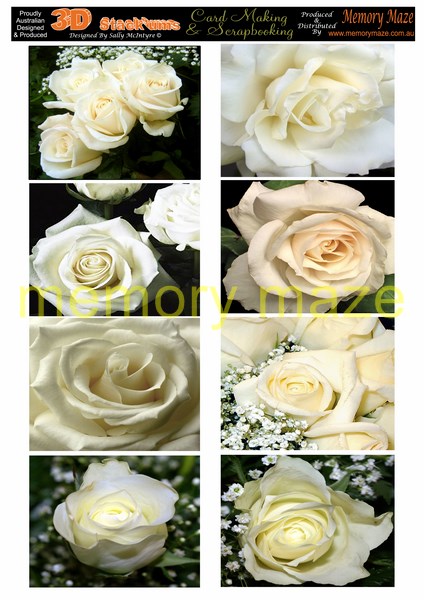 DS0706 cream roses  min buy 5  cut out with your nested dies